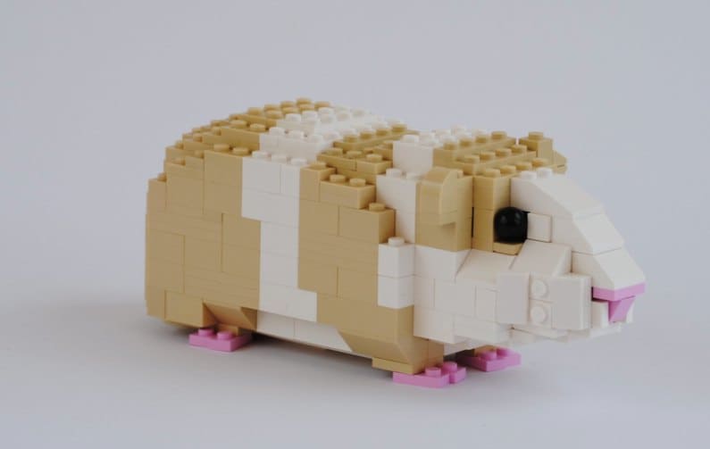 Felix Jaensch - Hamster