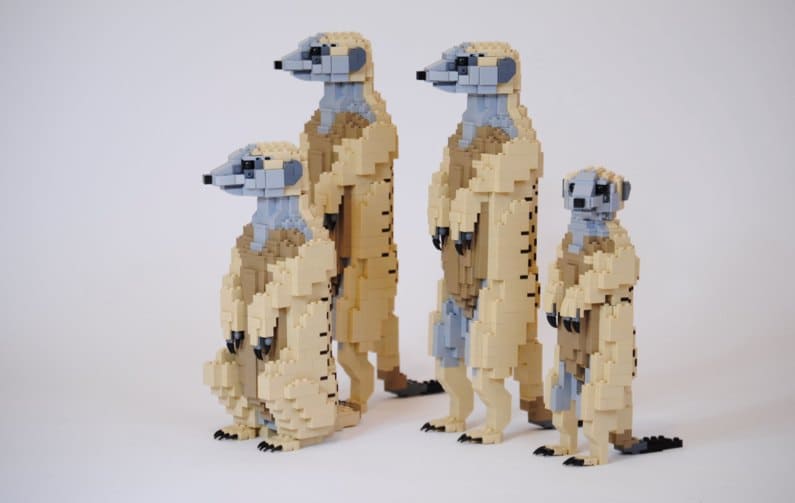 Felix Jaensch - Sirucatos