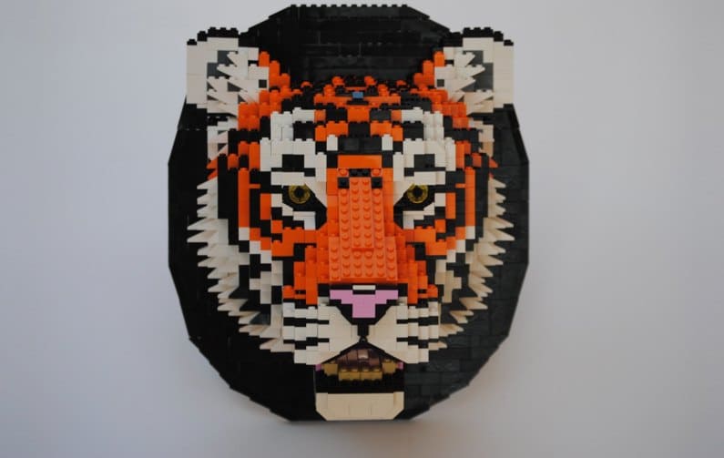 Felix Jaensch - Tigre