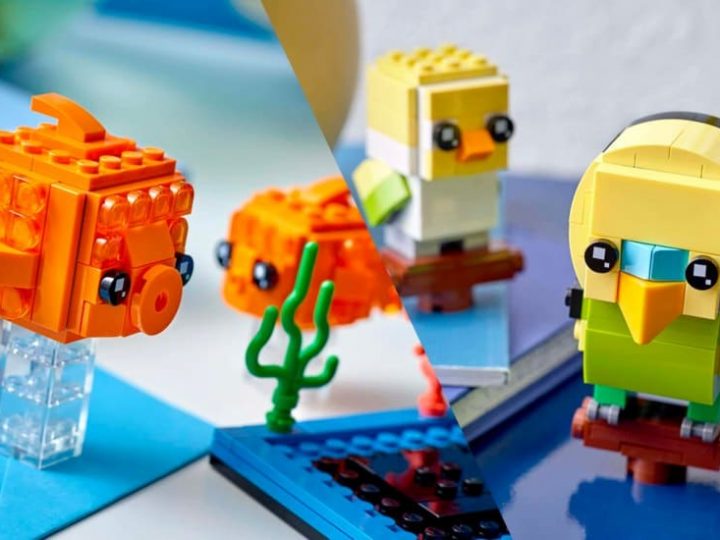 LEGO Goldfish (40442) y LEGO Budgie (40443), nuevos sets BrickHeadz