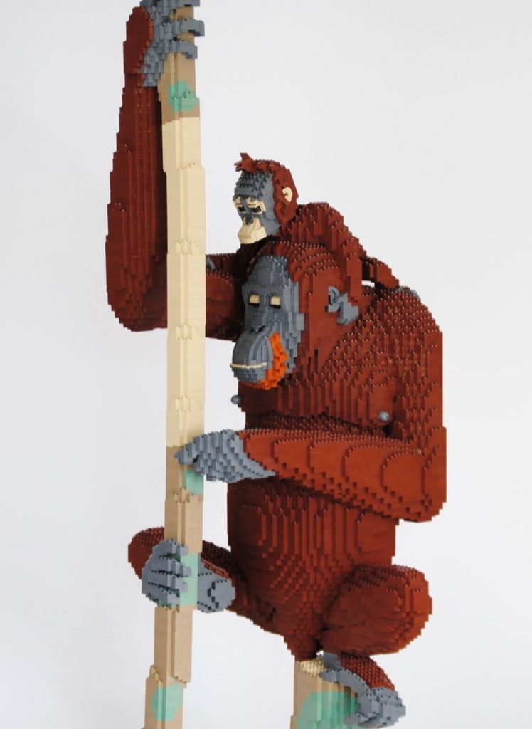 Felix Jaensch - Orang-Utan with Child