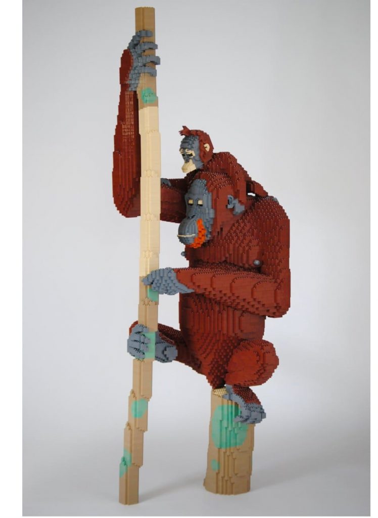 Felix Jaensch - Orang-Utan with Child