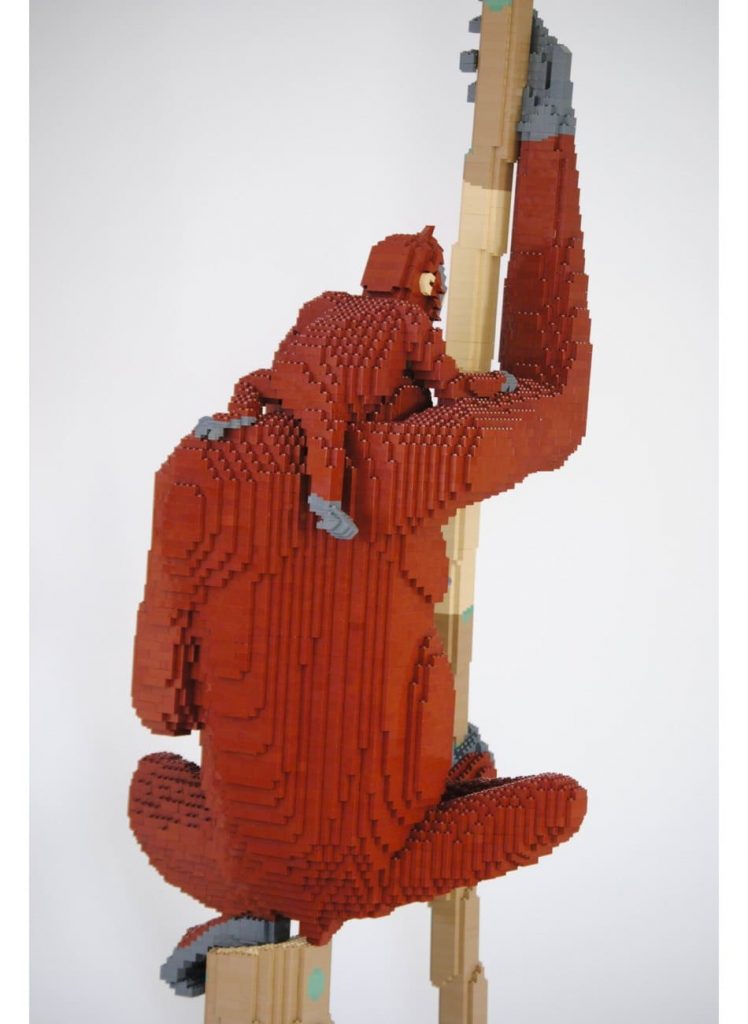 Felix Jaensch - Orang-Utan with Child