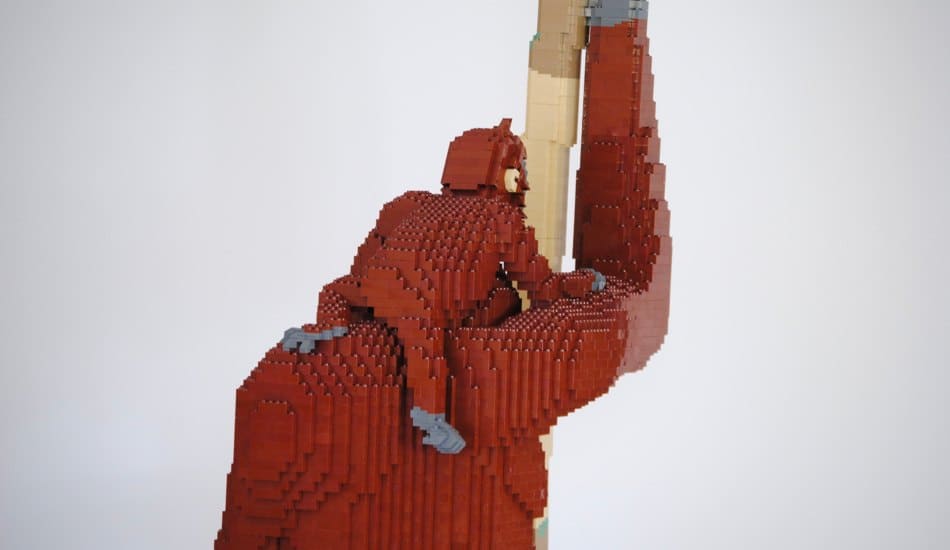 Felix Jaensch - Orang-Utan with Child