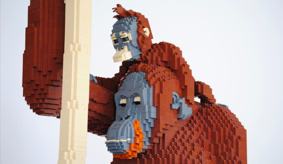 Felix Jaensch - Orang-Utan with Child