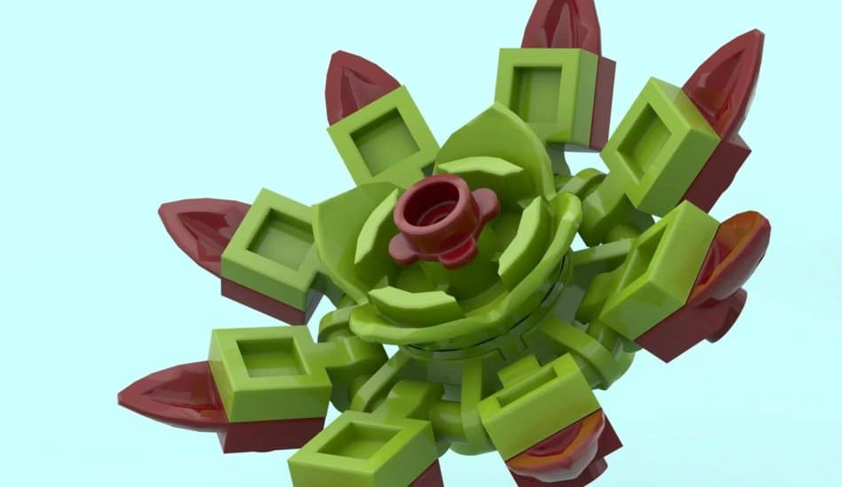 The Succulent Garden