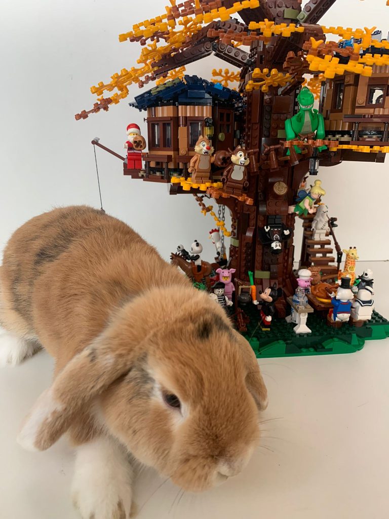 La Casa del Árbol (21318)