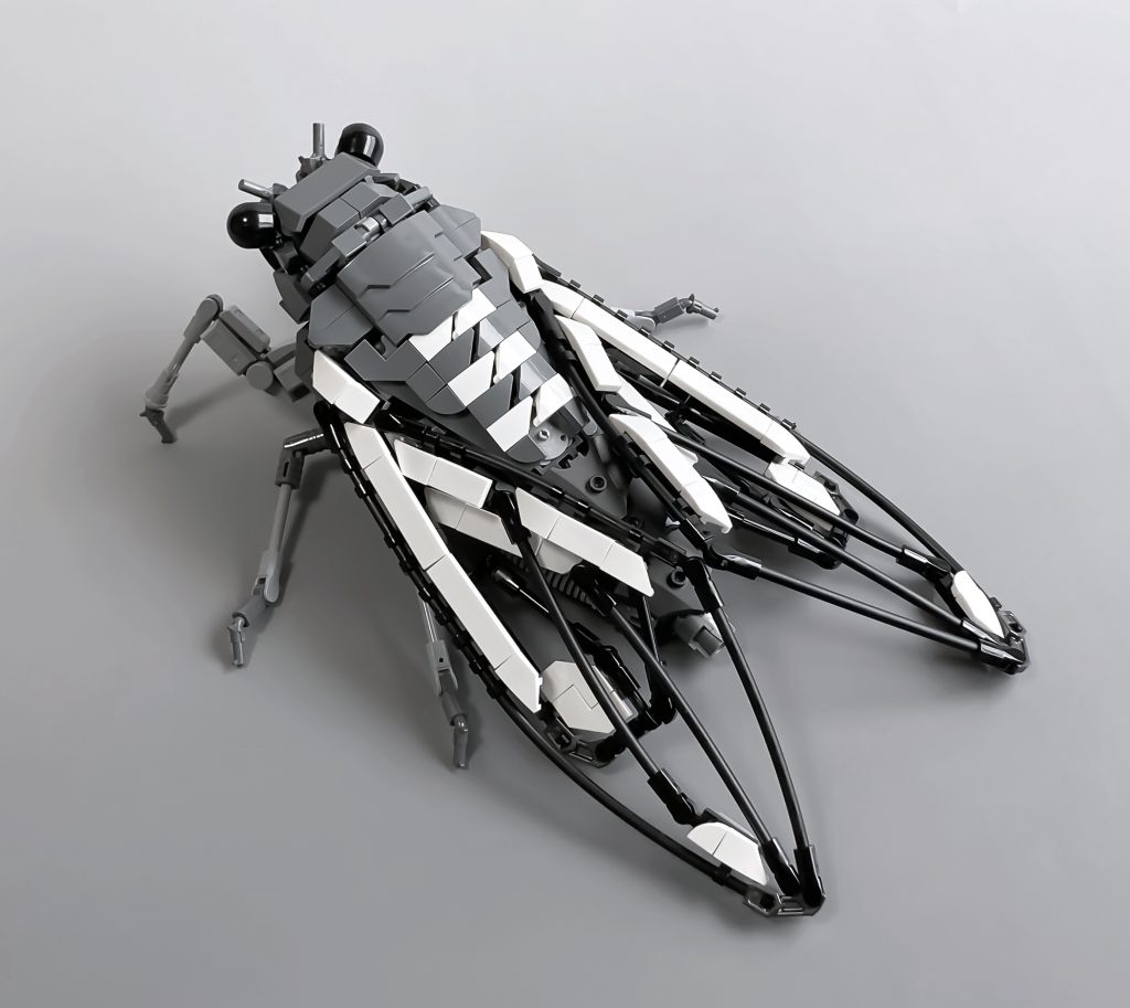 Maestros Constructores: Mitsuru Nikaido