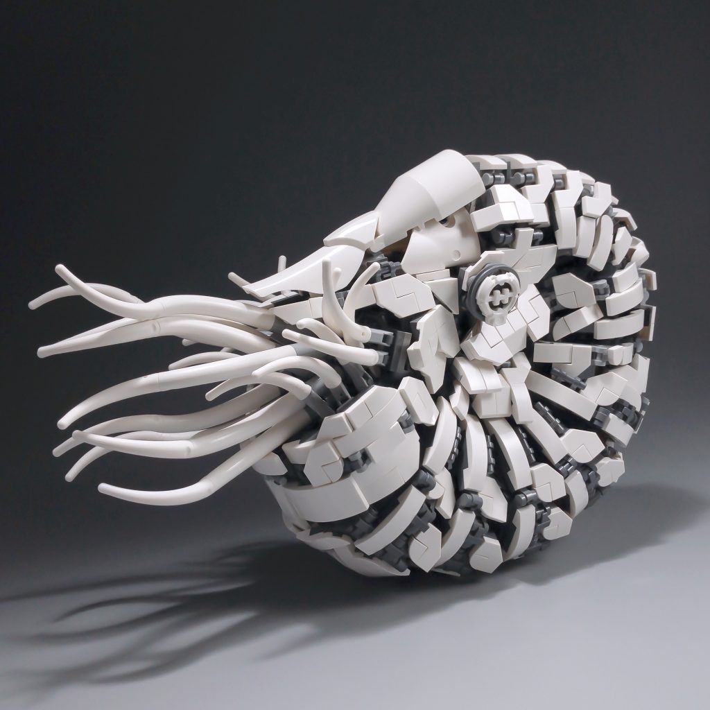 Maestros Constructores: Mitsuru Nikaido