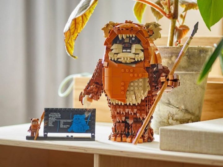 LEGO Star Wars Ewok Wicket (75430): precio, piezas y detalles del set
